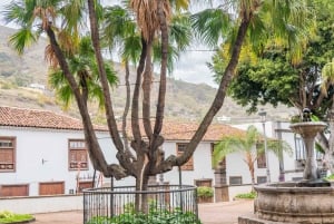 Balades Découverte Teide - La Orotava - Icod de los Vinos