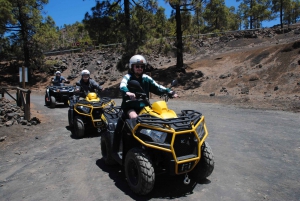 Tenerife: Teide Lunch Quad Volcano with Local Lunch