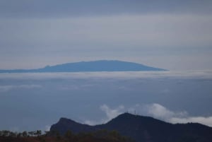 Tenerife: Teide Lunch Quad Volcano with Local Lunch