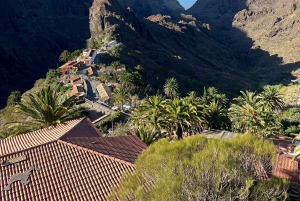 Tenerife: Teide, Masca, and Los Gigantes Cliffs Tour