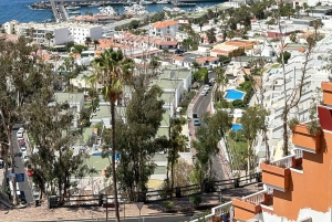 Tenerife: Teide, Masca, and Los Gigantes Cliffs Tour