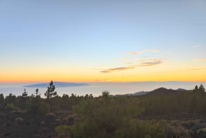 Tenerife: Teide, Masca og Los Gigantes Cliffs Tour