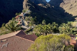 Tenerife: Teide, Masca og Los Gigantes Cliffs Tour