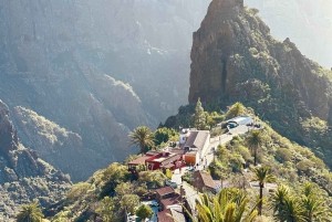 Tenerife: Teide, Masca og nordøya-tur med guide