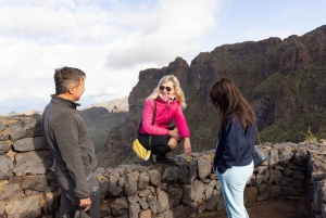 Tenerife: Teide, Masca og nordøya-tur med guide