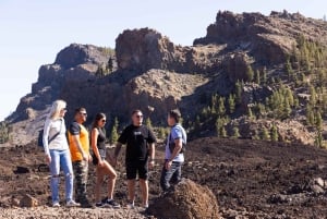 Tenerife: Teide, Masca og nordøya-tur med guide