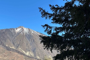Tenerife: Teide, Masca og nordøya-tur med guide
