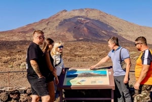 Tenerife: passeio pelo Teide, Masca e norte da ilha com guia