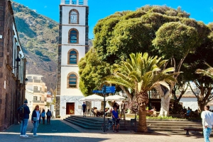 Tenerife: passeio pelo Teide, Masca e norte da ilha com guia