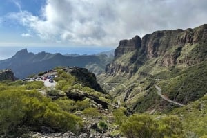 Tenerife: passeio pelo Teide, Masca e norte da ilha com guia
