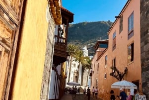 Tenerife: passeio pelo Teide, Masca e norte da ilha com guia