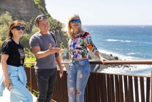 Tenerife: passeio pelo Teide, Masca e norte da ilha com guia