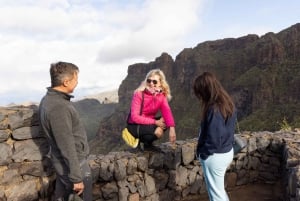 Tenerife: passeio pelo Teide, Masca e norte da ilha com guia