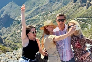 Tenerife: passeio pelo Teide, Masca e norte da ilha com guia