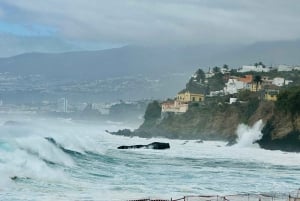 Tenerife: passeio pelo Teide, Masca e norte da ilha com guia