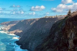 Tenerife: passeio pelo Teide, Masca e norte da ilha com guia