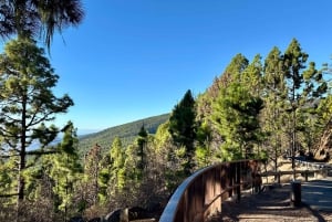 Tenerife: passeio pelo Teide, Masca e norte da ilha com guia