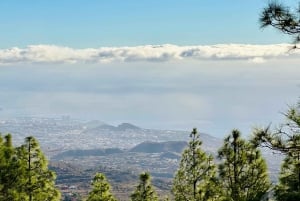 Tenerife: passeio pelo Teide, Masca e norte da ilha com guia