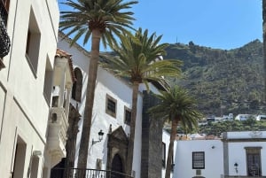 Tenerife: passeio pelo Teide, Masca e norte da ilha com guia