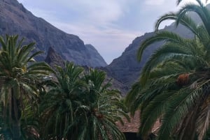 Tenerife: Teide, Masca, Garachico, and Sunset Exclusive Tour