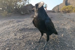 Tenerife: Teide, Masca, Garachico e Sunset Tour Exclusivo