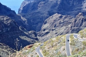 Tenerife: Teide National Park and Masca, shared tour (South)