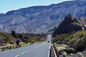 Tenerife: Teide National Park and Masca, shared tour (South)