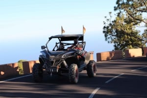 Tenerife: Teide Nacional Park Guided Morning Buggy Tour