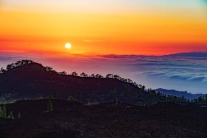 Teneriffa: Teide-vuoren buggy-opastettu kiertue maanteillä, juoma mukaan lukien