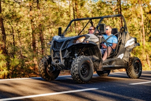Teneriffa: Teide-vuoren buggy-opastettu kiertue maanteillä, juoma mukaan lukien