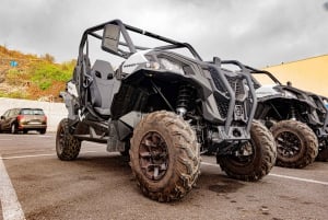 Teneriffa: Teide-vuoren buggy-opastettu kiertue maanteillä, juoma mukaan lukien