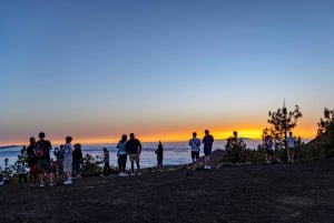 Teneriffa: Teide-vuoren buggy-opastettu kiertue maanteillä, juoma mukaan lukien
