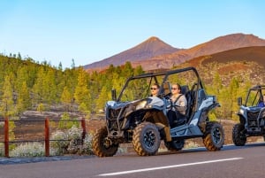 Teneriffa: Teide-vuoren buggy-opastettu kiertue maanteillä, juoma mukaan lukien