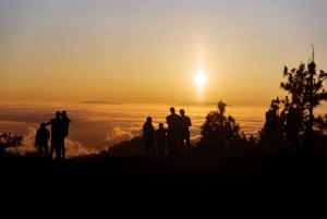 Teneriffa: Teide-vuoren buggy-opastettu kiertue maanteillä, juoma mukaan lukien