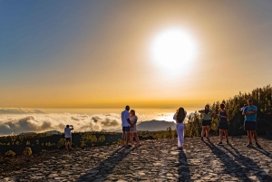 Teneriffa: Teide-vuoren buggy-opastettu kiertue maanteillä, juoma mukaan lukien