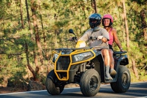 Tenerife : excursion guidée en quad sur route au mont Teide avec boisson