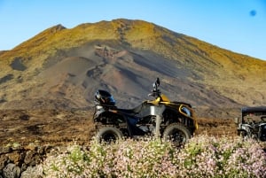 Tenerife : excursion guidée en quad sur route au mont Teide avec boisson