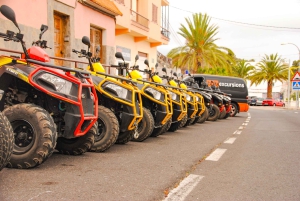 Tenerife : excursion guidée en quad sur route au mont Teide avec boisson