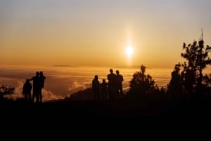 Tenerife : excursion guidée en quad sur route au mont Teide avec boisson