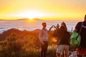 Tenerife : excursion guidée en quad sur route au mont Teide avec boisson