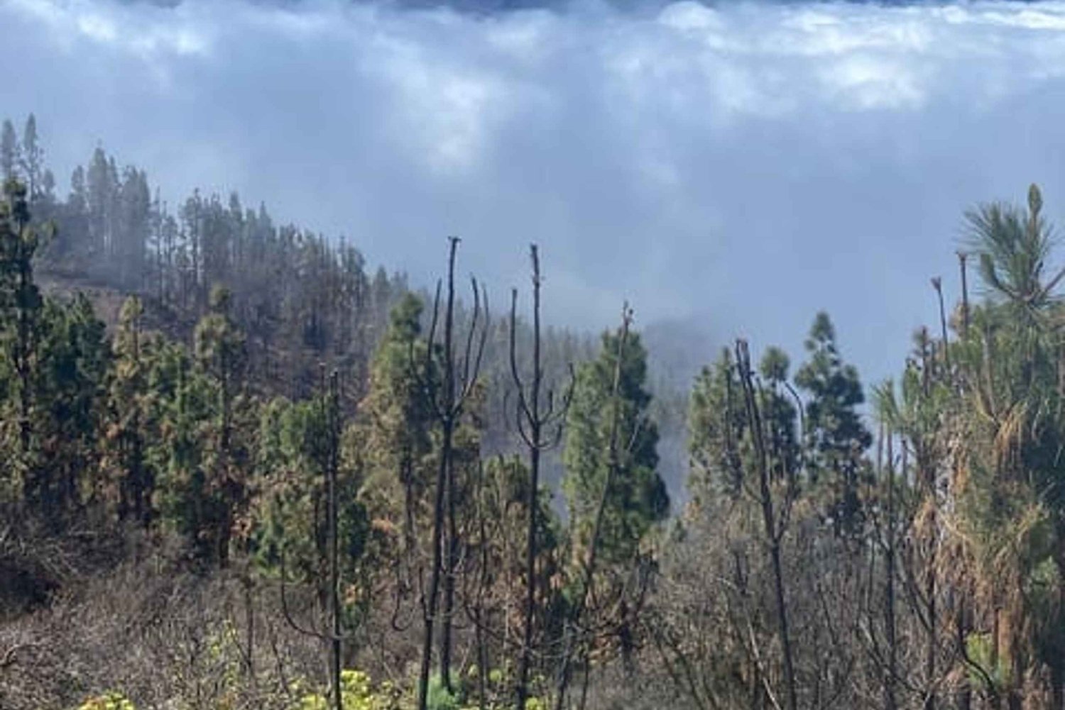 Excursión al Teide y al Parque Rural de Anaga