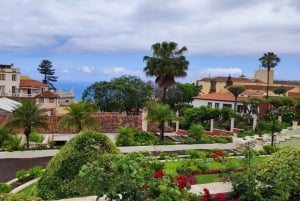 Teide Small groups, private tours.