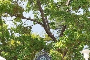 Teide Small groups, private tours.