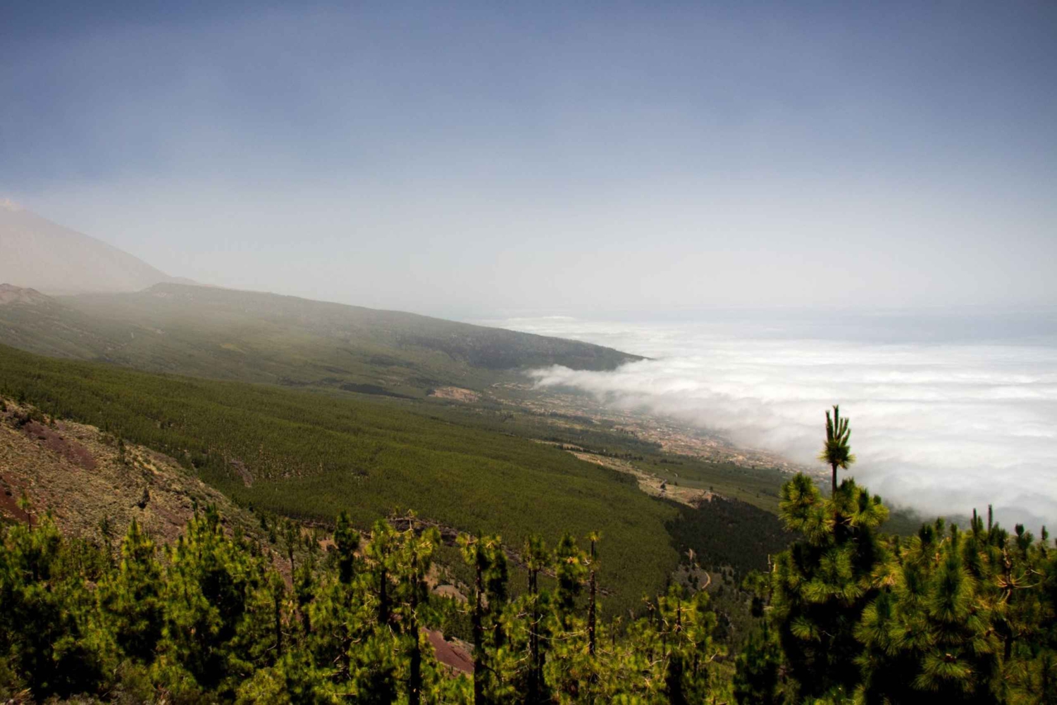 Tenerife: Teide nasjonalpark og Dolphins Sailboat Tour