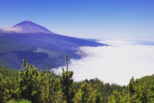 Tenerife: Teide National Park and Dolphins Sailboat Tour