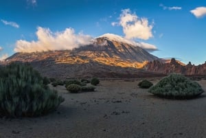 Tenerife: Teide National Park and Dolphins Sailboat Tour