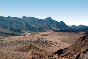 Tenerife: Parque Nacional del Teide y Excursión en Velero con Delfines