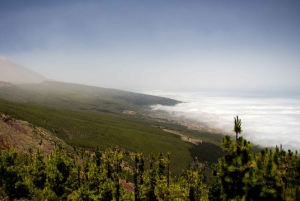 Tenerife: Teide nasjonalpark og Dolphins Sailboat Tour