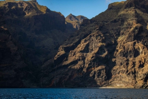 Tenerife: Teide nasjonalpark og Dolphins Sailboat Tour