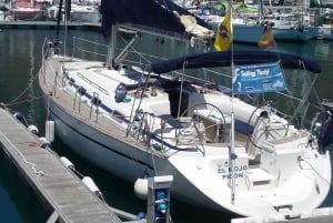 Tenerife: Teide nasjonalpark og Dolphins Sailboat Tour